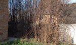 Фотография объекта