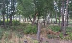 Фотография объекта