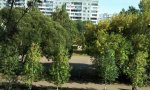Фотография объекта