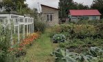 Фотография объекта