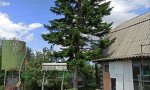 Фотография объекта