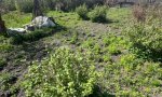 Фотография объекта