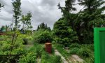 Фотография объекта