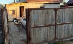 Фотография объекта