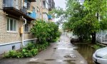 Фотография объекта