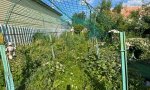 Фотография объекта