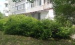 Фотография объекта
