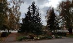 Фотография объекта